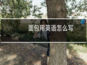 面包用英语怎么写