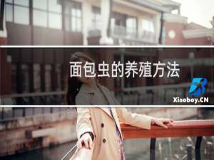 面包虫的养殖方法