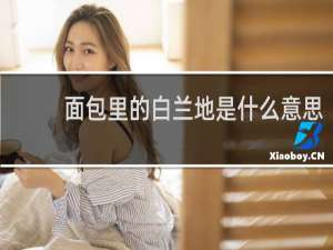 面包里的白兰地是什么意思