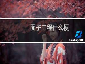 面子工程什么梗