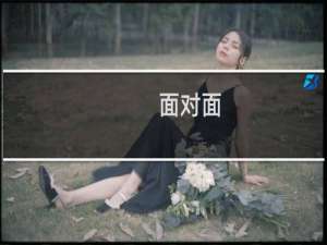 面对面
