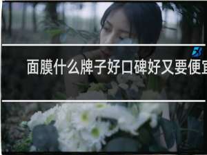 面膜什么牌子好口碑好又要便宜