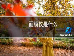 面膜仪是什么