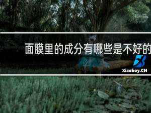 面膜里的成分有哪些是不好的