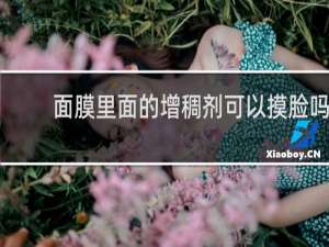 面膜里面的增稠剂可以摸脸吗