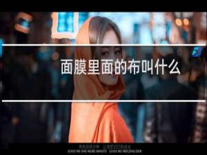 面膜里面的布叫什么