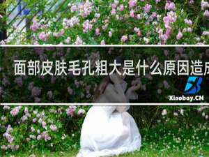 面部皮肤毛孔粗大是什么原因造成的