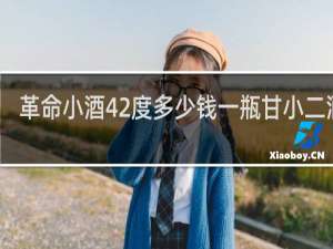 革命小酒42度多少钱一瓶甘小二酒业