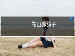 鞍山养鸽子