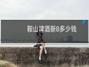 鞍山啤酒新8多少钱