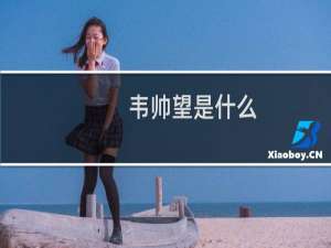 韦帅望是什么