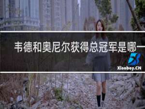 韦德和奥尼尔获得总冠军是哪一年