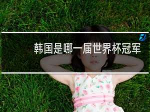 韩国是哪一届世界杯冠军