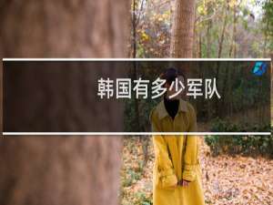 韩国有多少军队
