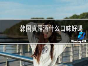 韩国真露酒什么口味好喝