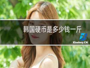 韩国硬币是多少钱一斤