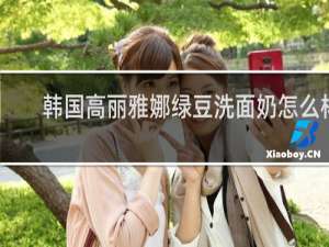 韩国高丽雅娜绿豆洗面奶怎么样