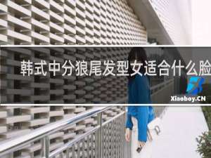 韩式中分狼尾发型女适合什么脸型