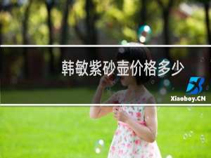 韩敏紫砂壶价格多少