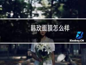 韩玫面膜怎么样