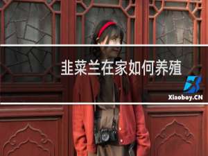 韭菜兰在家如何养殖