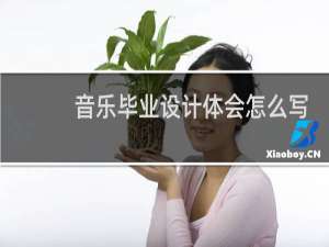 音乐毕业设计体会怎么写