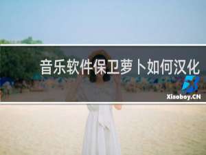 音乐软件保卫萝卜如何汉化