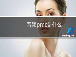 音频pmc是什么