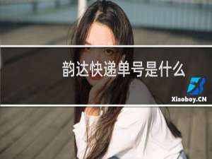 韵达快递单号是什么