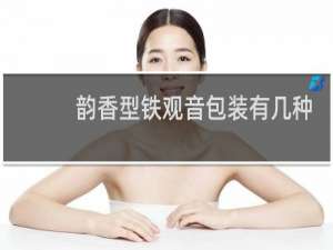 韵香型铁观音包装有几种