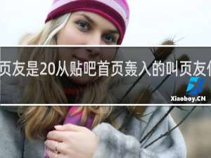 页友是 从贴吧首页轰入的叫页友什么梗