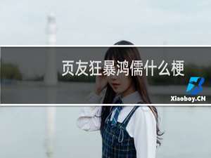 页友狂暴鸿儒什么梗