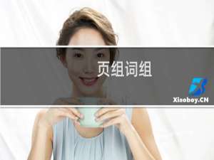 页组词组（页组词）