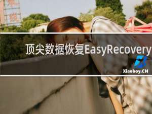 【顶尖数据恢复EasyRecovery】免费顶尖数据恢复EasyRecovery软件下载
