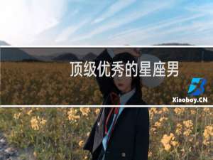 顶级优秀的星座男