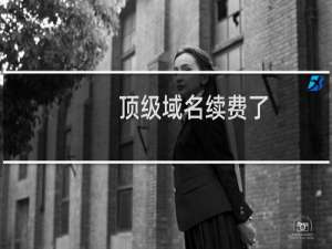 顶级域名续费了，可以打开，二级域名打不开