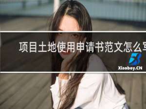 项目土地使用申请书范文怎么写