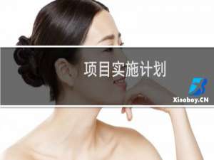 项目实施计划