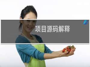 项目源码解释
