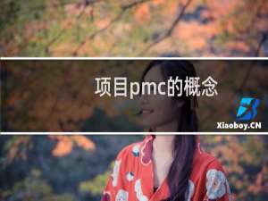 项目pmc的概念