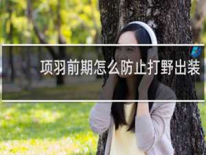 项羽前期怎么防止打野出装