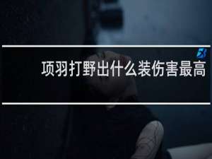 项羽打野出什么装伤害最高