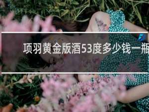 项羽黄金版酒53度多少钱一瓶