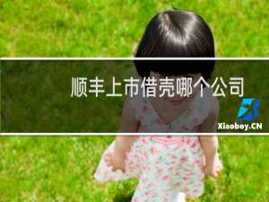 顺丰上市借壳哪个公司