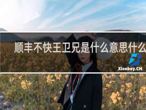 顺丰不快王卫兄是什么意思什么梗