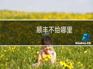 顺丰不给哪里