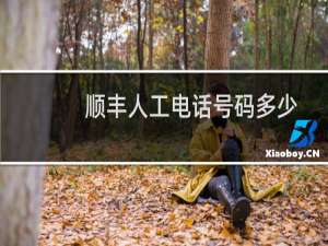 顺丰人工电话号码多少