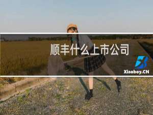 顺丰什么上市公司
