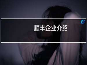 顺丰企业介绍