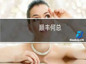 顺丰何总